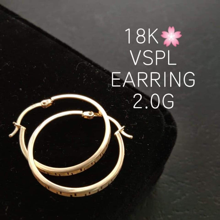 18K Gold Hoop Earrings VSPL